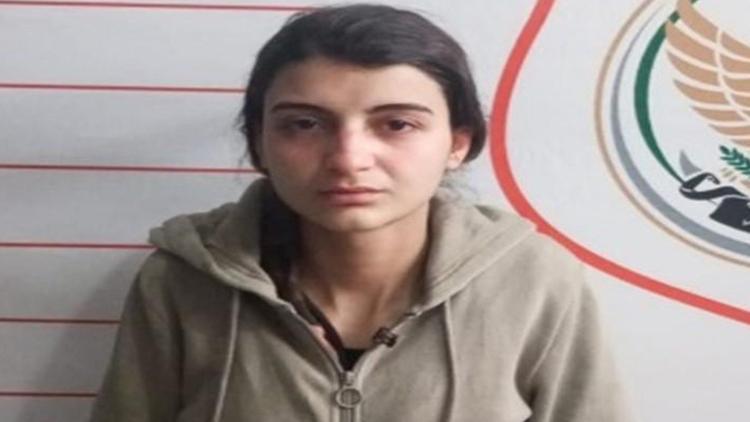 Türkiyeye sızmaya çalışan PKKlı terörist yakalandı