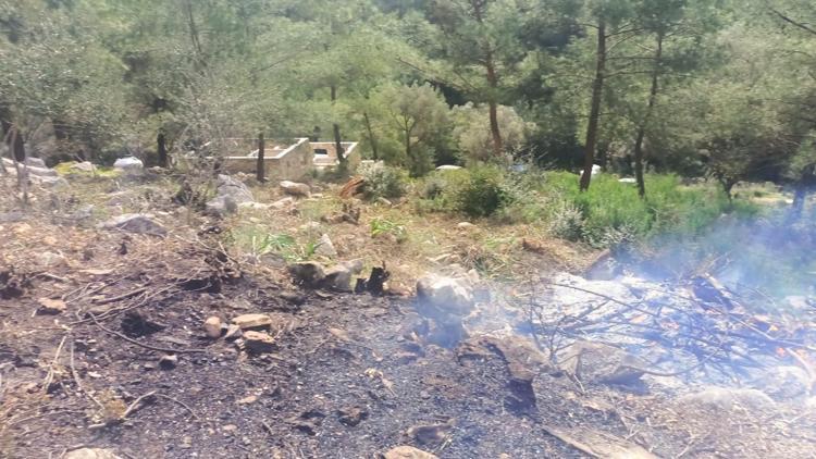 Hazine arazisindeki ağaçları yakan 20 şüpheli gözaltında