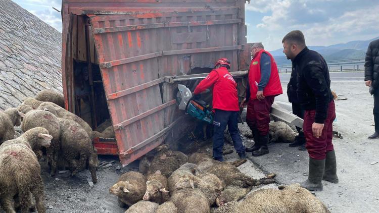 Balıkesirde TIR, kamyona arkadan çarptı; 1 kişi hayatını kaybetti, 2 kişi yaralandı, 52 koyun öldü