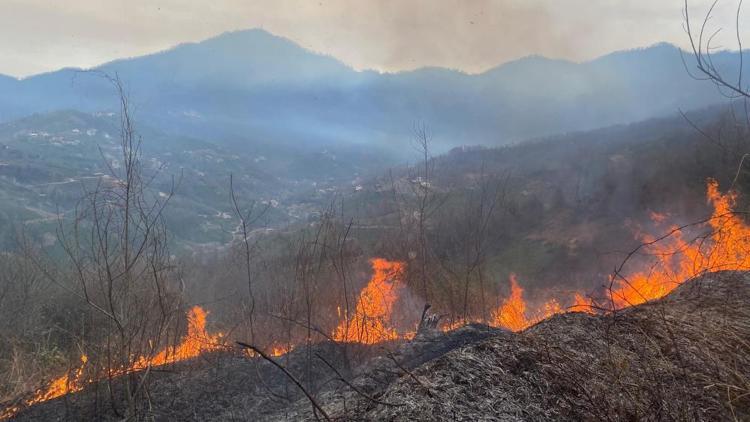 Artvin’de orman yangını