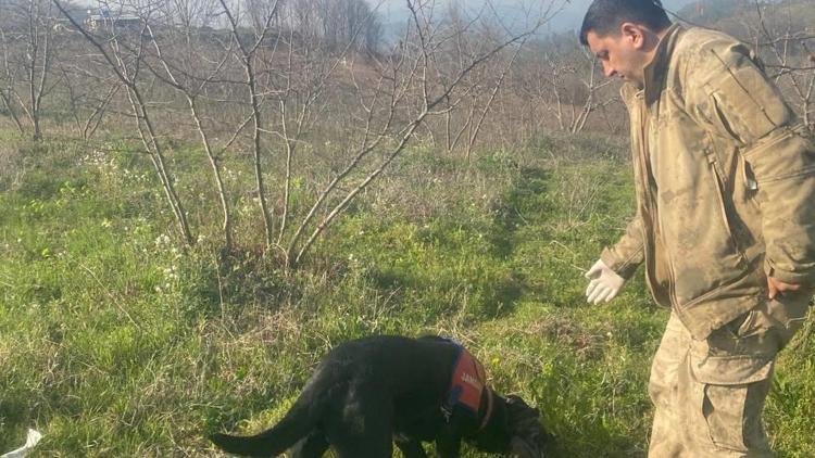 İz takip köpeği Voltaj, kaybolan engelliyi ormanda buldu