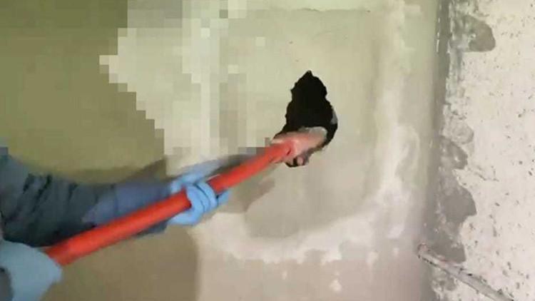 65e5a92e1f70a32918c83247.jpg