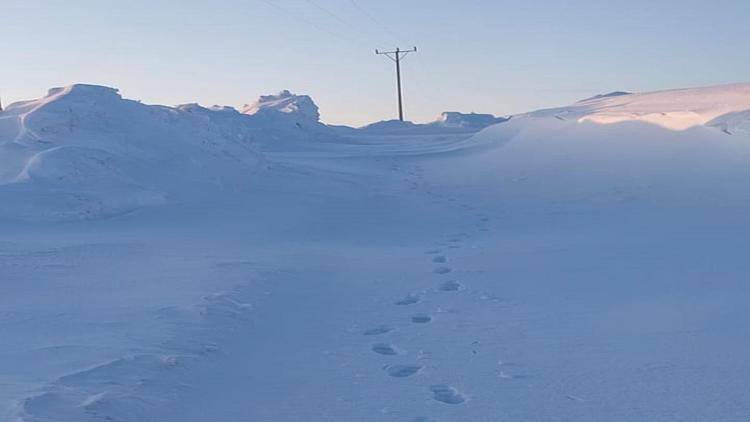 Karlıova’da kar nedeniyle kapanan 6 köy yolu ulaşıma açıldı