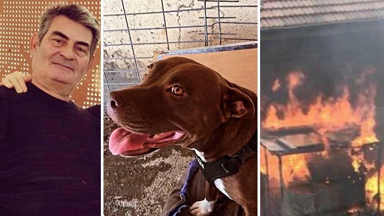 İzmirde Şilayı kulübesinde yakarak öldüren caninin cezası arttı
