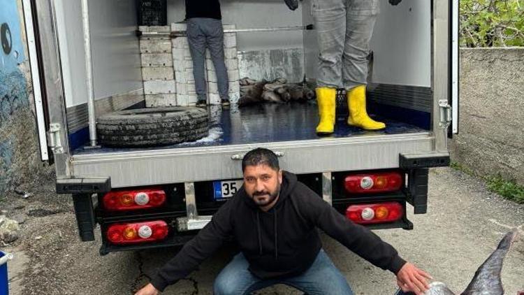 Avladığı 3 metre boyundaki 150 kiloluk kılıç balığını 30 bin TLye sattı