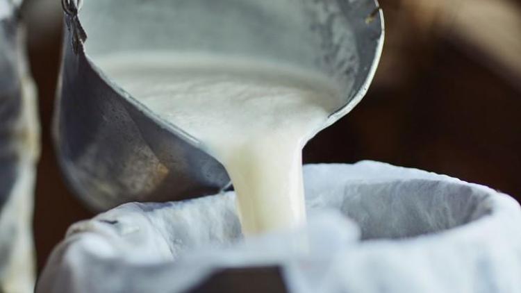 Hangisi daha sağlıklı: İnek sütü mü yoksa bitkisel sütler mi?