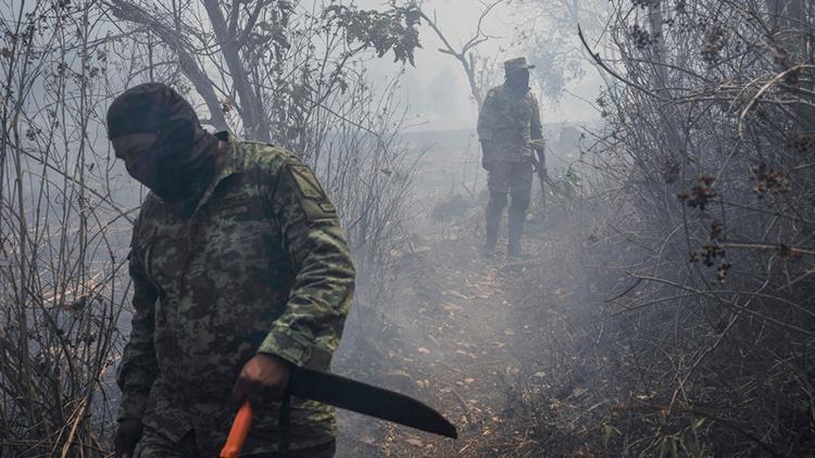 Meksika orman yangınları ile boğuşuyor