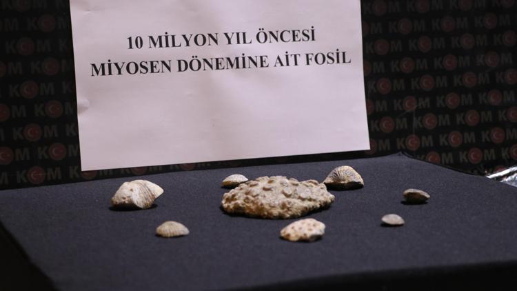 Kayseride 10 milyon yıllık fosil ele geçirildi