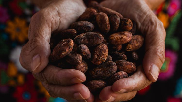 Kakao fiyatlarında artış sürüyor