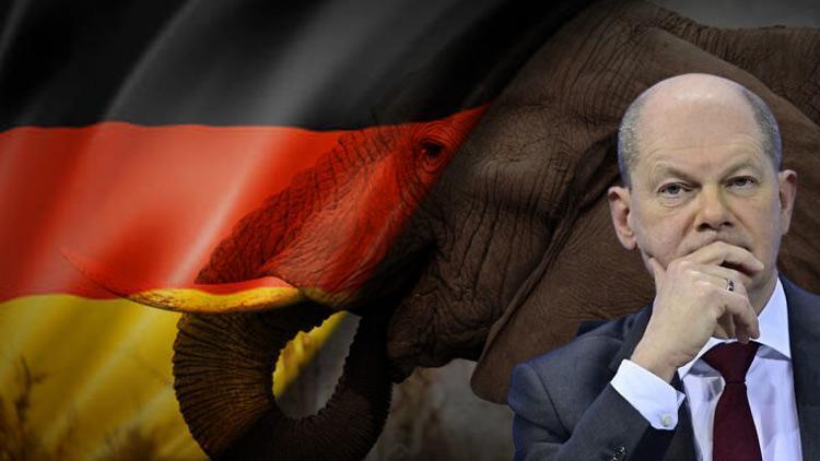 Berlinin kararı Botsvanayı kızdırdı... Devlet başkanı Almanyayı 20 bin fil göndermekle tehdit etti