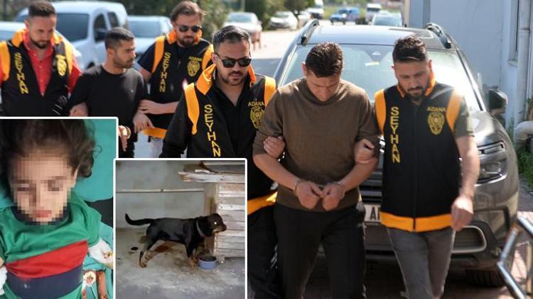 Adanada 4 yaşındaki çocuk, köpek saldırısında yaralandı 2 kişi gözaltına alındı
