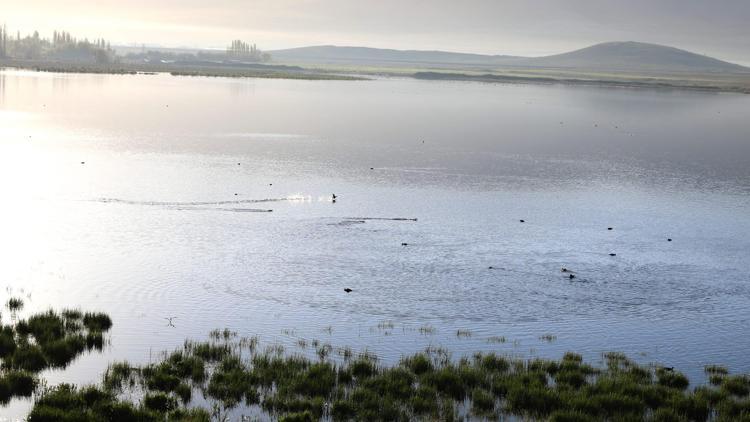 Vali Çelik: Akkaya Barajında 225 kuş türü yaşıyor