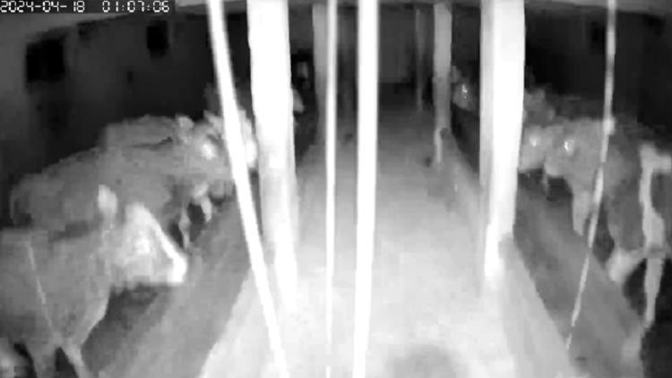 6620f0c605044c56db1d33e1.jpg