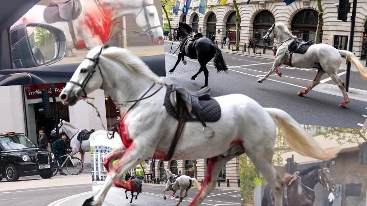 Binicilerini fırlatıp kaçan kraliyet atları Londrayı birbirine kattı: Ordu ve polis alarma geçti, 5 yaralı
