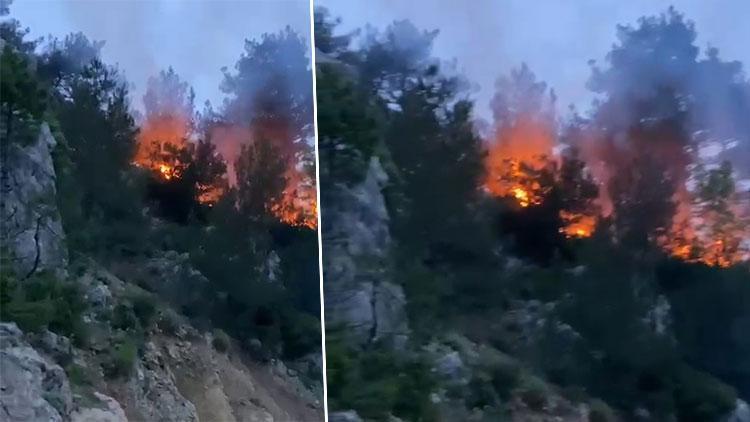Osmaniyede orman yangını... Kontrol altına alındı