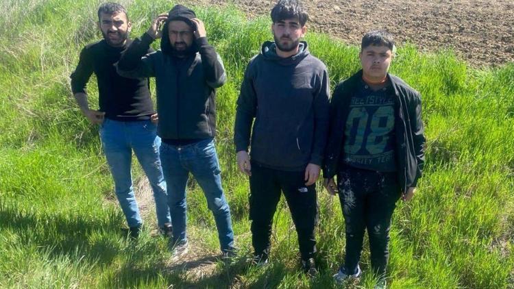 Edirnede  jandarma 4 kaçak göçmeni yakaladı