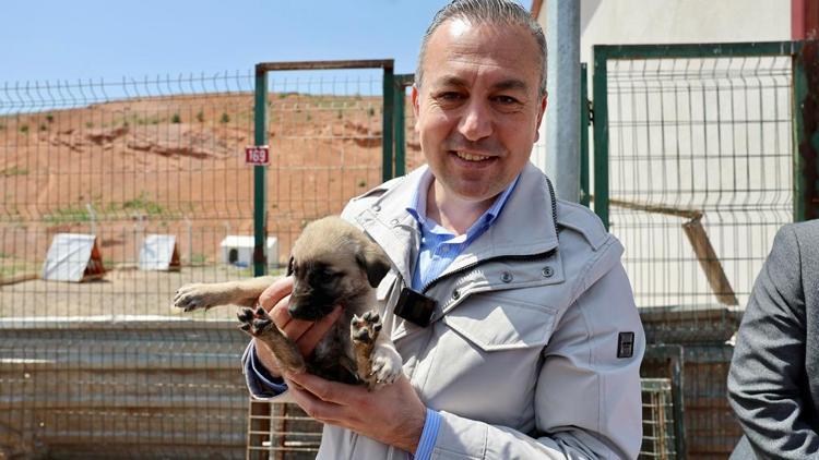 Başkan Uzun, Sokak Hayvanları Bakım ve Rehabilite Merkezini ziyaret etti
