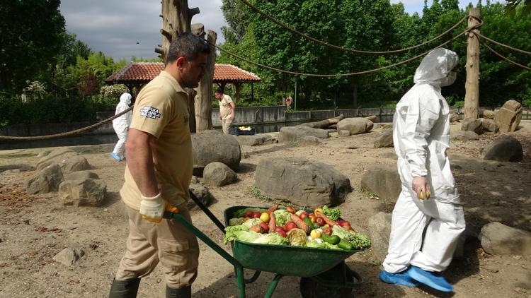 Bulgaristandan  Bursaya gelen öğrenciler, hayvanat bhçesinde incelemelerde bulundu