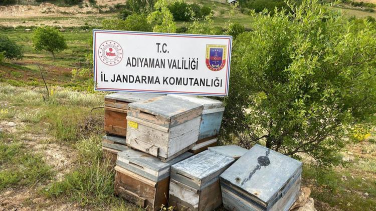 Adıyaman’da arı kovanı hırsızlığına gözaltı