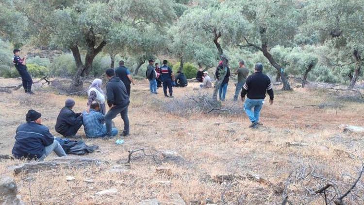 Aydında kayıp koyunlarını aramak için evden çıkmıştı Ölü bulundu