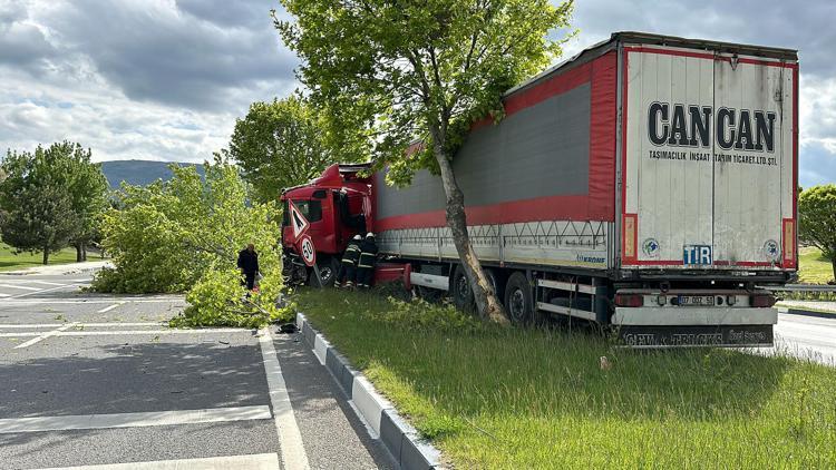 Sürücüsü direksiyon başında uyuklayan TIR, ağaca çarparak durabildi