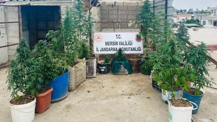 Mersin’de uyuşturucu madde operasyonu; 2 gözaltı