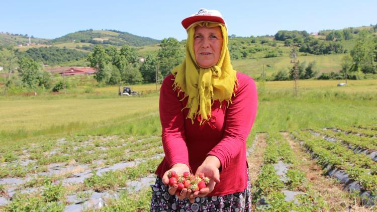 22 yıl önce tütüne alternatif olarak üretti, kendi markasını yarattı