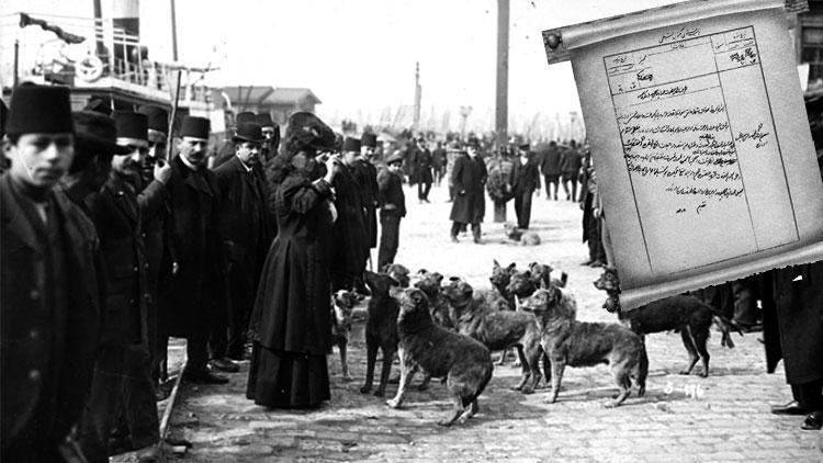 İstanbul işgal günlerinde bile can dostlarına sahip çıktı