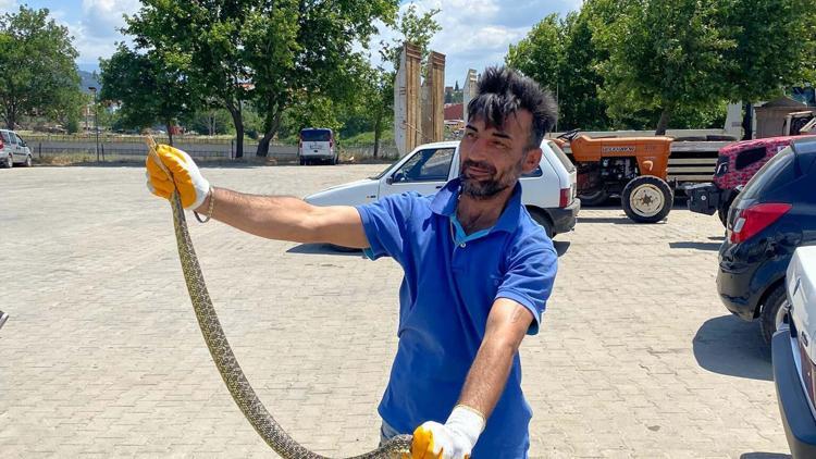 Otomobilin motorunda yakalanan yılan, doğal ortamına salındı