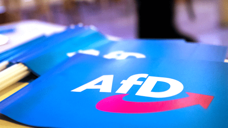 AfD kan kaybetmeye devam ediyor