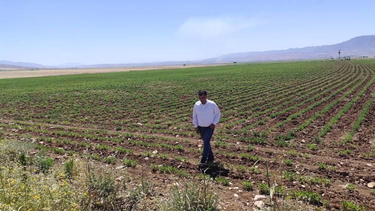 Silopi’ye ‘Sera Organize Tarım Bölgesi’