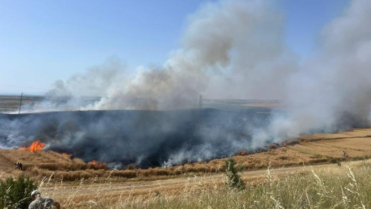 Edirne’de 110 dekar buğday ekili tarla yandı