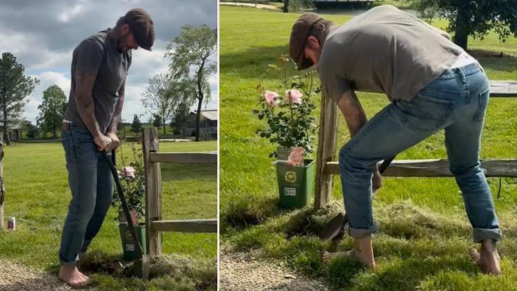 25 yıllık kocasına övgüler yağdırdı... Artık bahçede pembe gülleri var