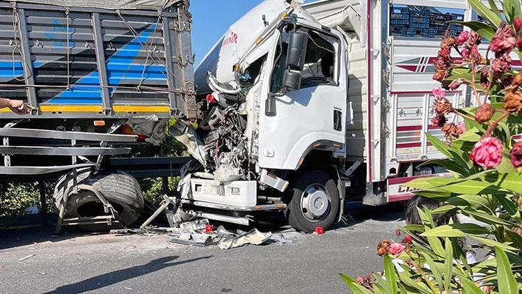 Feci kaza: Kamyon TIRa arkadan çarptı, 2 kişi hayatını kaybetti