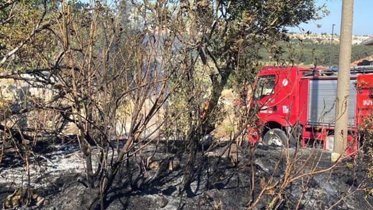 Manisada otlukta çıkan yangın, park halindeki otomobile de sıçradı