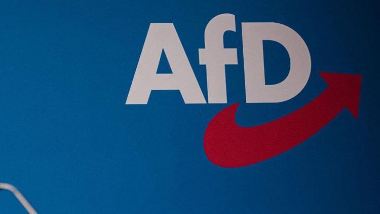 AfD demokrasiye zarar veriyor