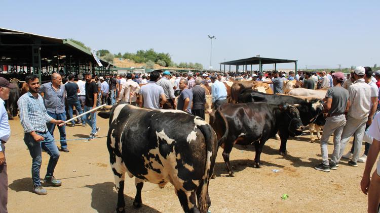 Malatyada kurban pazarında yoğunluk