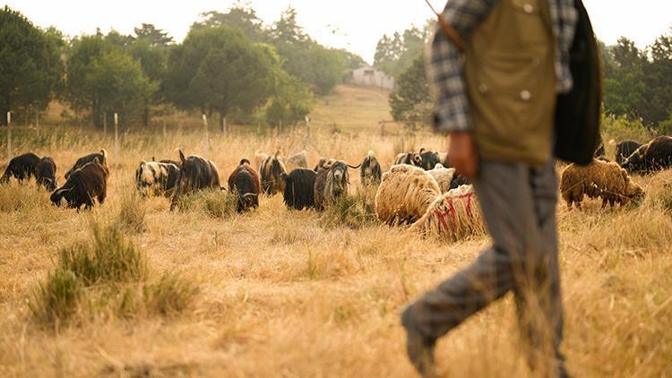 Arnavutköyde feci olay Kurban keserken kalp krizi geçirdi, bıçağın üzerine düşerek can verdi