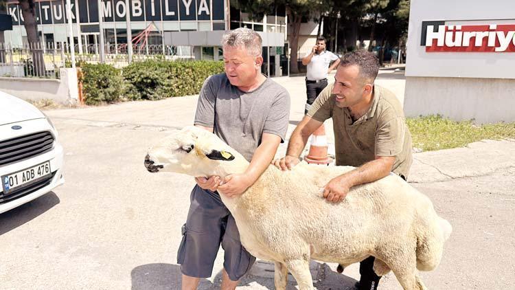 Yurttan kurban klasikleri