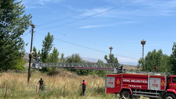 Rüzgarda yıkılan yuvayı onarıp, düşen yavru leylekleri itfaiye aracıyla yerine koydular