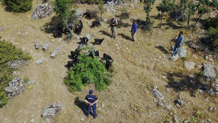 Adıyamanda kaybolan sürü dronla bulundu