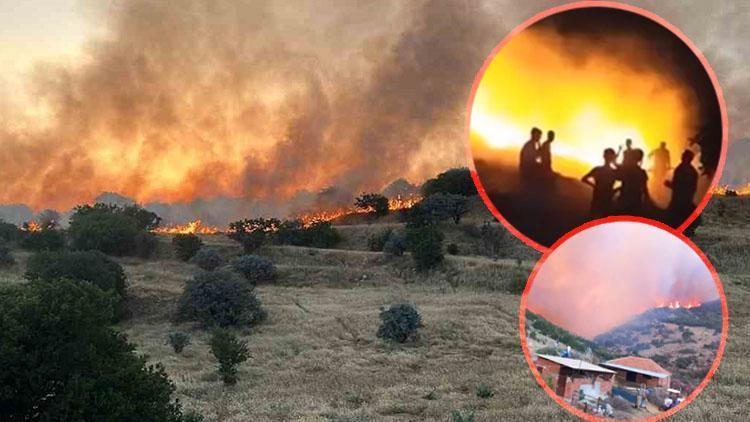Orman yangınları geçen yıla göre beş kat arttı Hangi önlemler alınmalı ‘Muğla, Aydın ve Antalya’daki maki bulunan ormanlara dikkat’