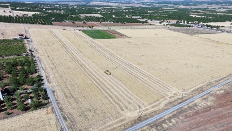 Malatyada, depremzede çiftçilere 40 ton arpa dağıtılacak