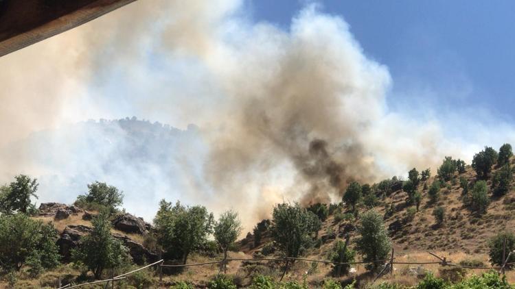 Adıyamanda ormanlık alanda örtü yangını