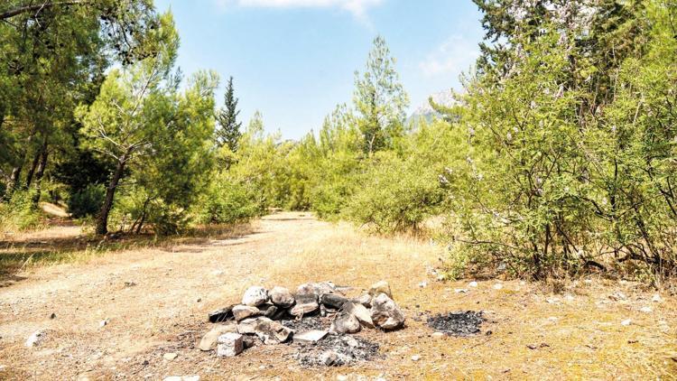 Orman müdüründen öneri: Ateşsiz piknik
