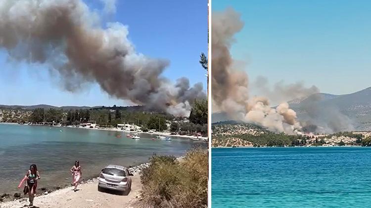 Muğladaki orman yangınıyla ilgili üç kişi gözaltına alındı