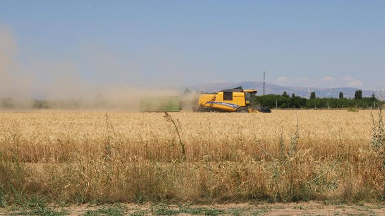 Malatyada hasadı yapılan 100 ton buğdaydan 15 bin öğrenci faydalanacak