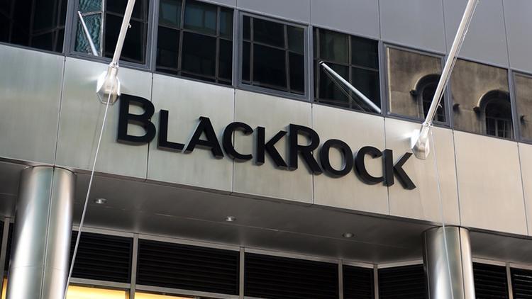 BlackRocktan dev satın alma