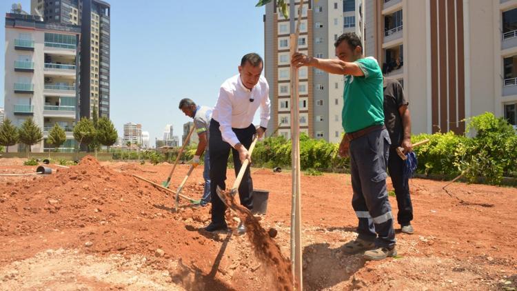 Yenişehir Belediyesi Madımak’ta yaşamını yitirenler için anıt park yapacak