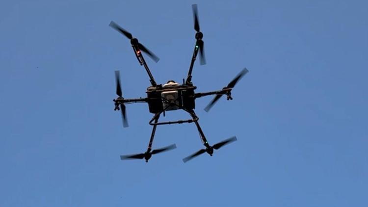 Tokatta sinek ve lavralara karşı drone ile ilaçlama